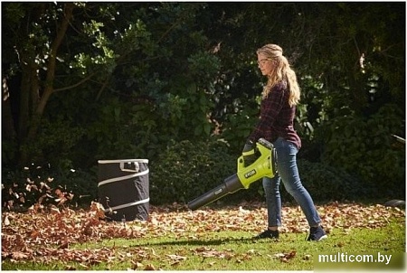 Ручная воздуходувка Ryobi RY18BLXD-150 5133005952 (с 1-им АКБ)