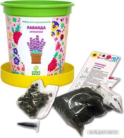 Набор для опытов Happy plant Лаванда ароматная hpn-15