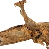 Декорация AquaEl Mangrove Root M 25-45 см