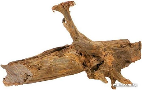 Декорация AquaEl Mangrove Root M 25-45 см