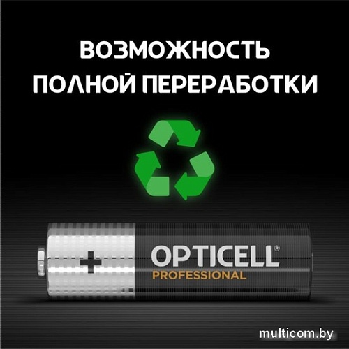 Батарейка Opticell Professional AA 5052005 (12 шт)