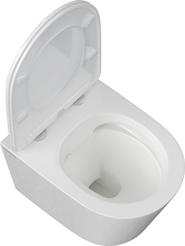 Унитаз подвесной Berges Wasserhaus Vita Rimless 043375 (с сиденьем)