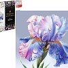 Алмазная мозаика Феникс+ Ирис 70827