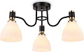Люстра средней высоты Ambrella light TR TR303303