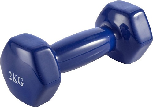 Гантель VictoryFit VF-DV020 2 кг
