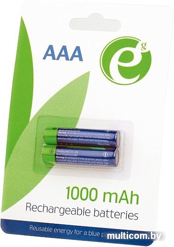 Аккумуляторы Gembird Rechargeable batteties AAA 1000 mАh 2 шт. [EG-BA-AAA10-01]