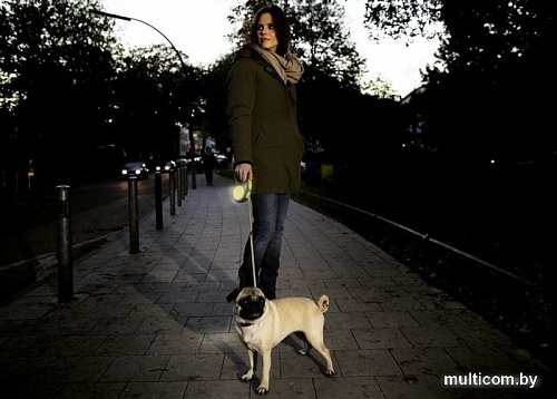 Поводок-рулетка Flexi New Neon S Tape 5 м (желтый)