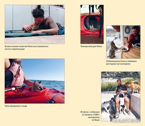 Книга издательства Азбука. Мир Налы (Николсон Д.)