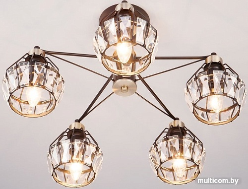 Люстра Евросвет 70075/5 (черный)