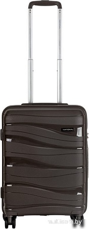 Чемодан National NLT101-S (коричневый)