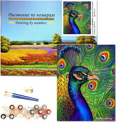 Картина по номерам ILikeGift Павлин HCEG35983