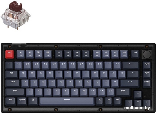 Клавиатура Keychron V1 Knob RGB QMK/VIA V1-C3 (Keychron K Pro Brown)