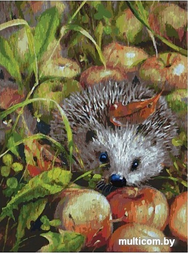 Картина по номерам Белоснежка Яблочный ежик 140-AS