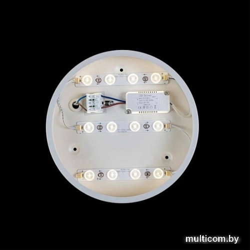 Люстра-тарелка LOFT IT Axel 10002/12 White