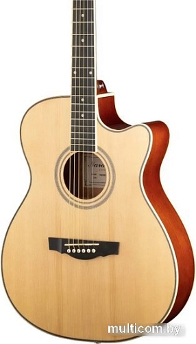Акустическая гитара Naranda TG220CNA