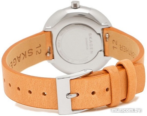 Наручные часы Skagen SKW2594