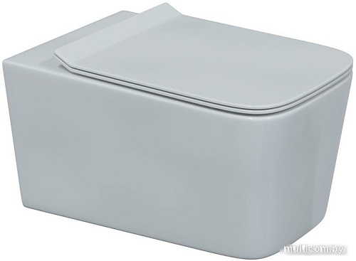 Унитаз подвесной Berges Wasserhaus Novum 525 043279