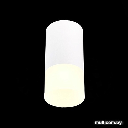 Припотолочная люстра ST Luce ST100.512.01