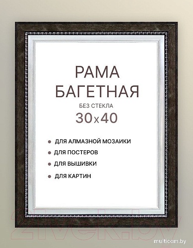 Фоторамка Декарт 30x40 8Л2573 (черный с серебром)