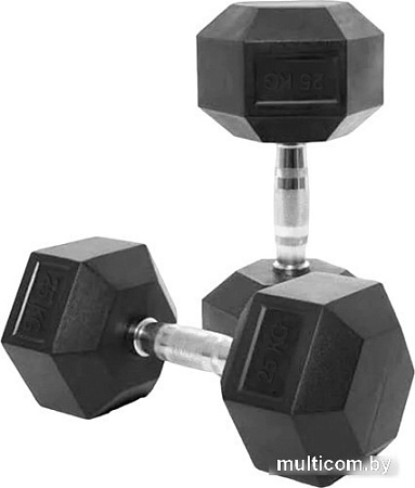 Набор гантелей VictoryFit VF-H250 2x25 кг