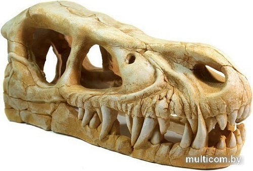 Декорация DekSi Череп динозавра №1004