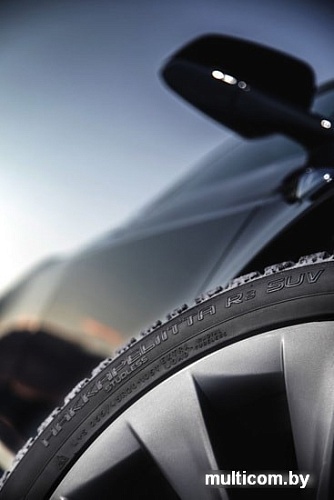 Автомобильные шины Nokian Hakkapeliitta R3 SUV 275/50R21 113R