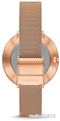 Наручные часы Skagen Gitte SKW3013