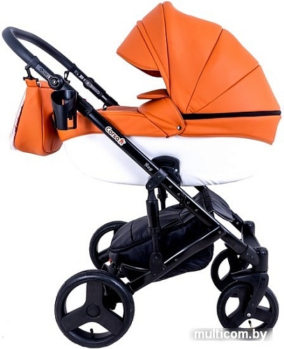 Ray Corsa Ecco (2 в 1, 26)