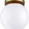 Припотолочная люстра Odeon Light Bosco 4247/1C