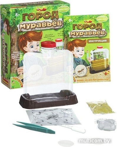 Набор для опытов Bondibon Науки с Буки Город муравьев ВВ1549