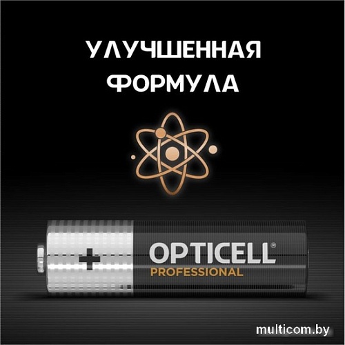 Батарейка Opticell Professional AA 5052005 (12 шт)