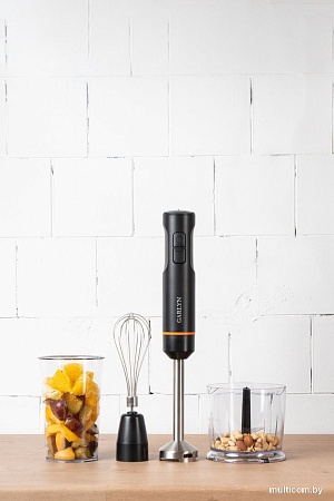 Погружной блендер Garlyn HB-400