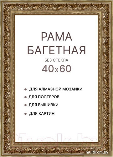 Фоторамка Декарт 40x60 8Л3823 (золото/бронзовый)