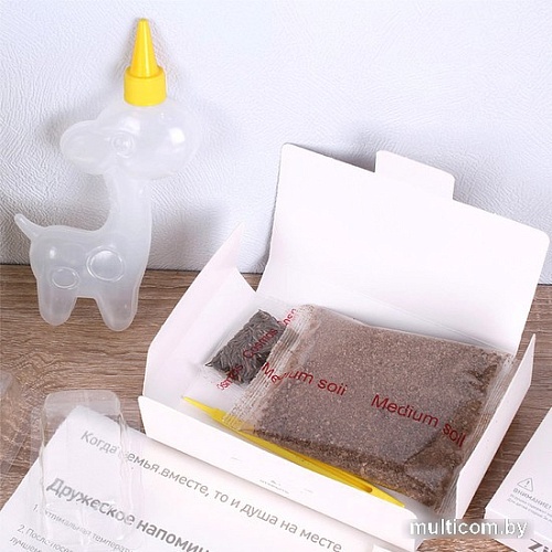 Набор для опытов Darvish 3D Милый дом DV-T-2178-5