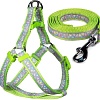 Шлея с поводком Triol Одуванчики-2 31491021 (XS, серый/зеленый)