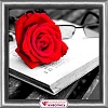 Алмазная мозаика Алмазная Живопись Роза и книга АЖ-1871