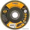 Шлифовальный круг Targ 663405