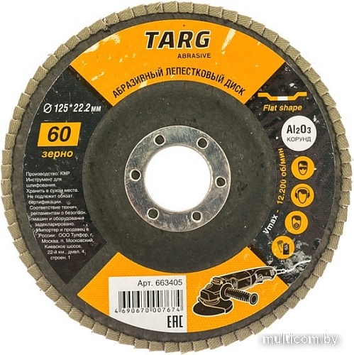 Шлифовальный круг Targ 663405