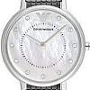 Наручные часы Emporio Armani AR2511