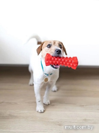 Игрушка для собак Fancy Pets Кусалка FPP11