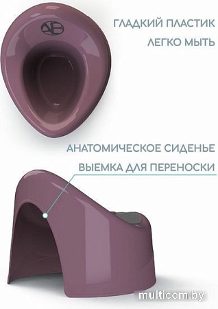 Детский горшок Amarobaby Fort AB221102F/22 (фиолетовый)