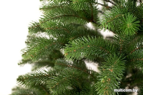 Ель Siga Group Беловежская зеленая 1.8 м