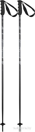 Лыжные палки Elan Speedrod 2024-2025 CD532023-125 (р.125, черный)