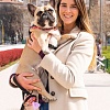 Поводок United Pets Complete Me 2 (L, оранжевый/голубой)