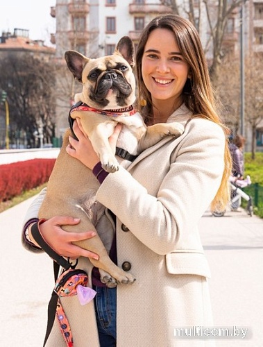 Поводок United Pets Complete Me 2 (L, оранжевый/голубой)