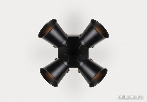 Спот Rivoli Acuto 7015-704 Б0044770