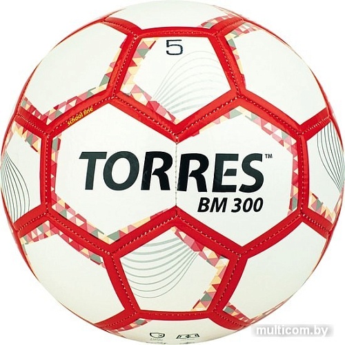 Мяч Torres BM300 F320745 (5 размер)