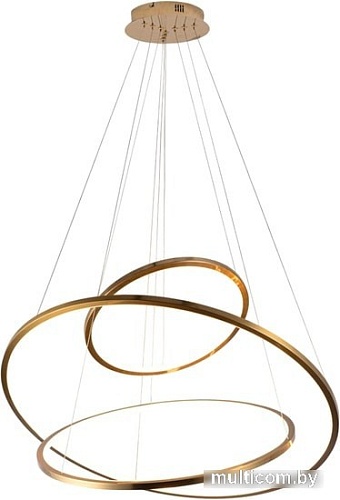 Подвесная люстра LOFT IT Ring 10015/3