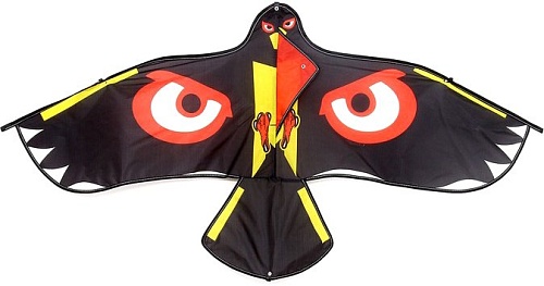 Воздушный змей Funny Toys Орел 9236590