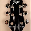 Акустическая гитара Flight AG-210 BK